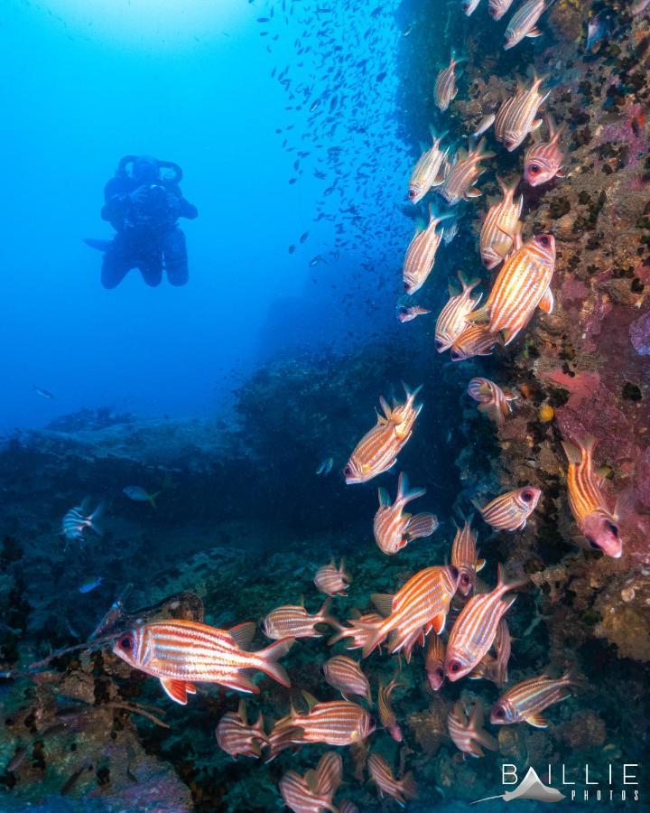 Hydronauts Diving Resort - Κο Τάο Εξωτερικό φωτογραφία