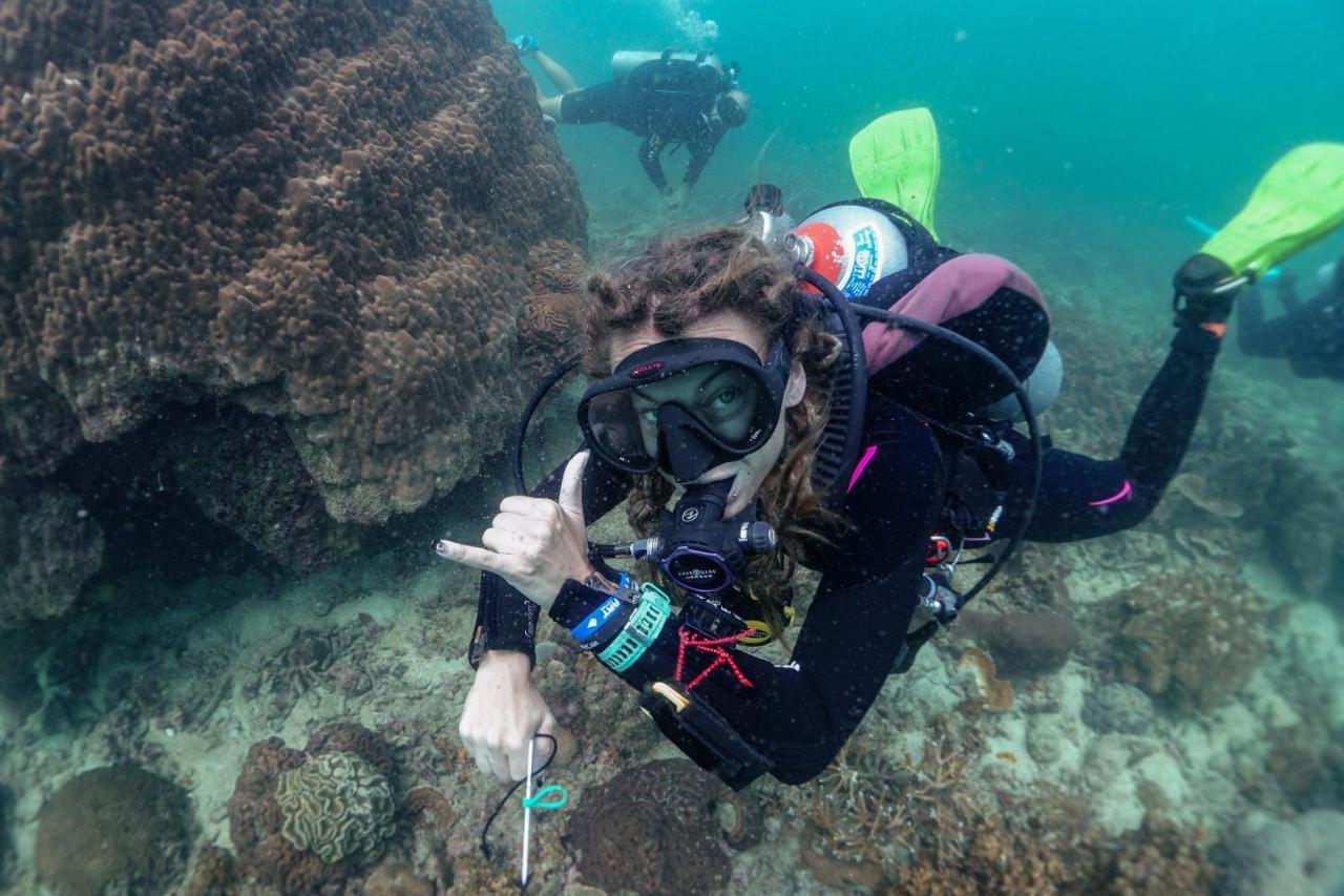 Hydronauts Diving Resort - Κο Τάο Εξωτερικό φωτογραφία